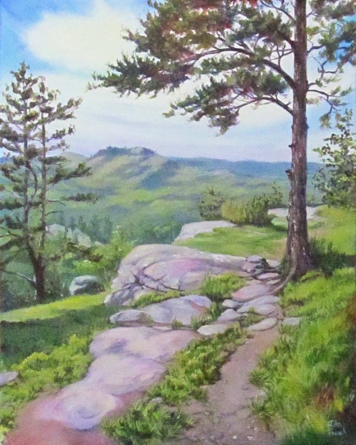 My Pursuit of Excellence, part 2: What did I Do?