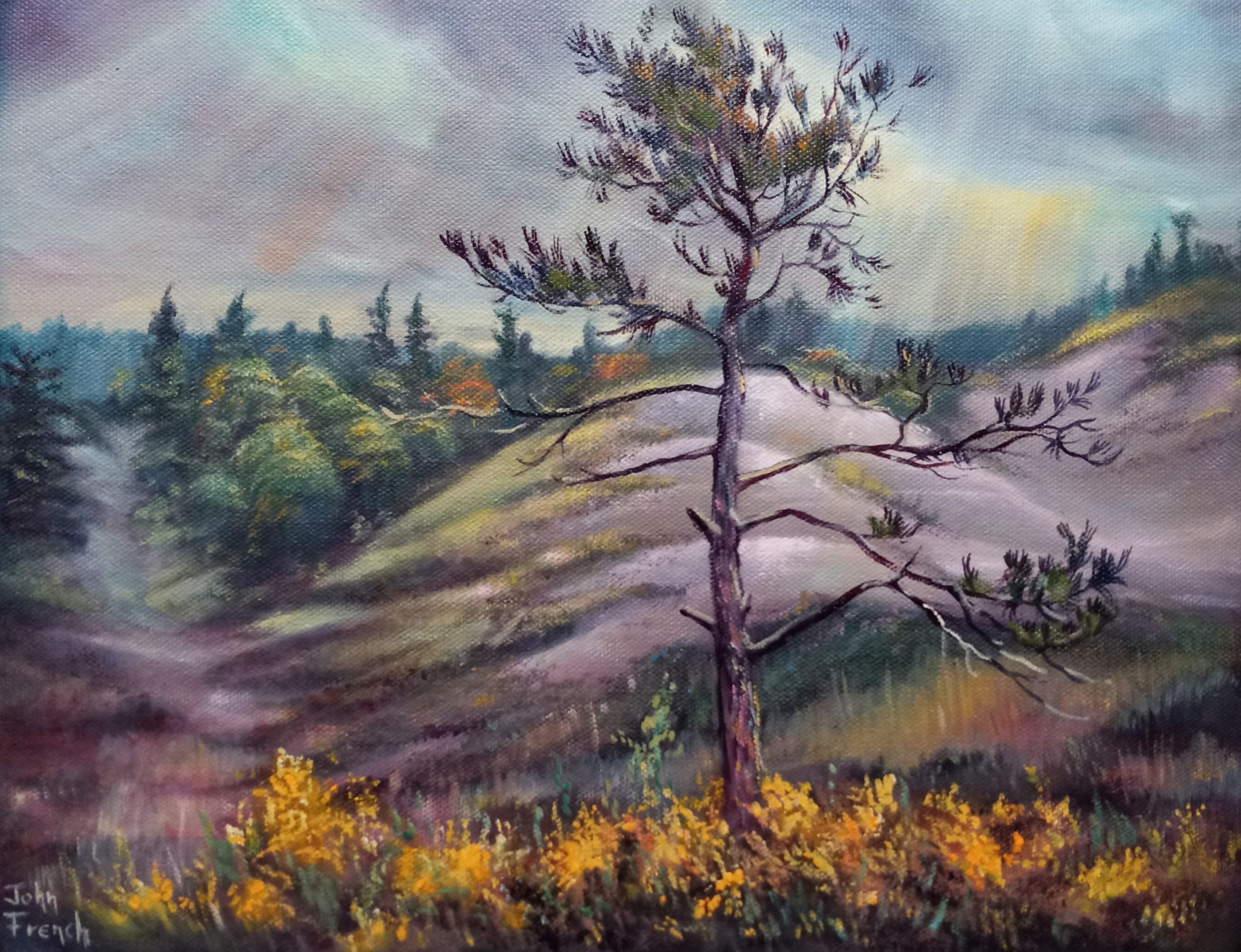 “Twisted Pine in the Dunes” for $260