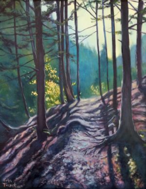 “Long Shadows Above the Gorge” 11×14 for $275