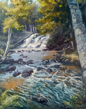 Unnamed Falls, 11x14 for $289